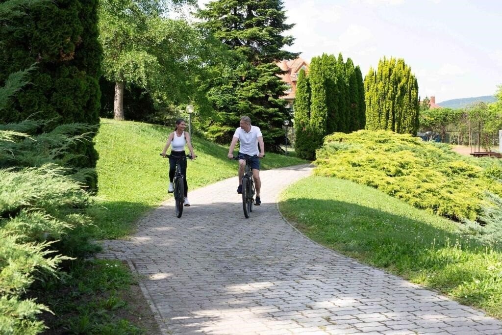Картинка Carbona Naturmed Hotel 4*