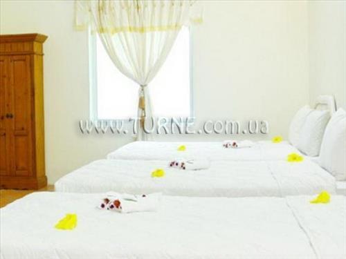 Фотографія Apricot Resort 3*