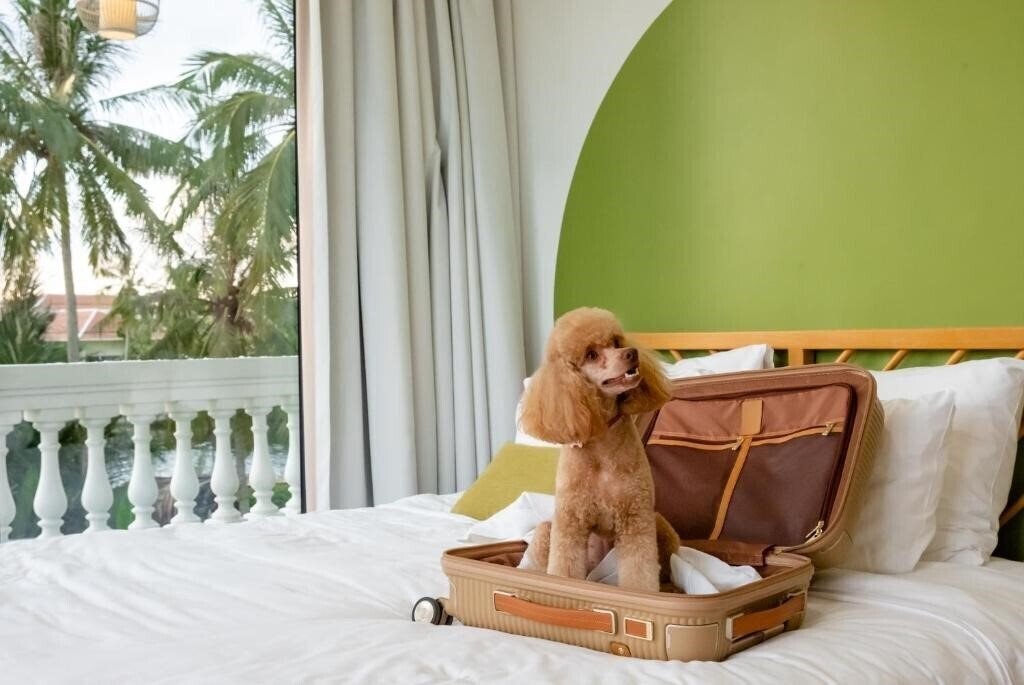 Фотографія Moodhoian Riverside Hoi An Resort & SPA 4*