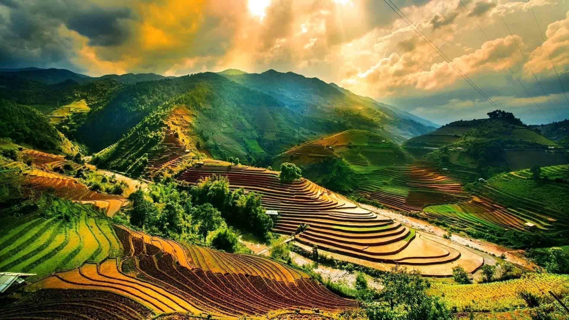 Отель Fortuna / Roulete Nha Trang 4* 4*
