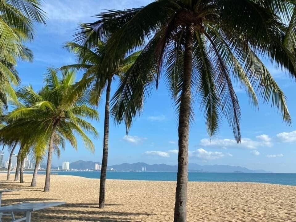 Картинка Sea Pearl Nha Trang 4*