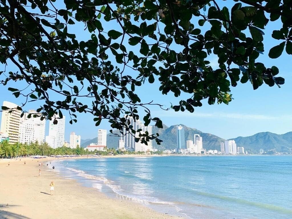 Отель Media Nha Trang Hotel 3*