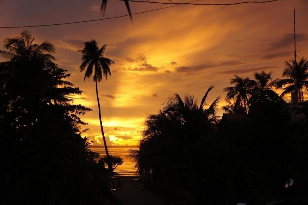 Отель Phu Quoc Kim Bungalow On The Beach 3*