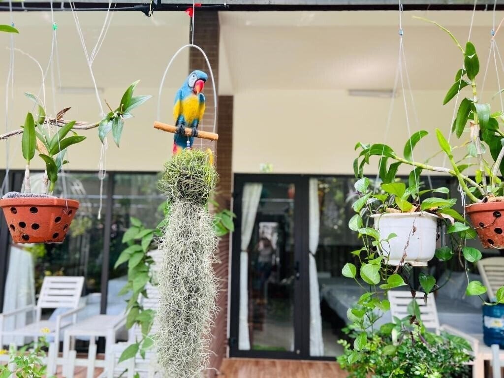 Изображение Canary Bungalow 3*