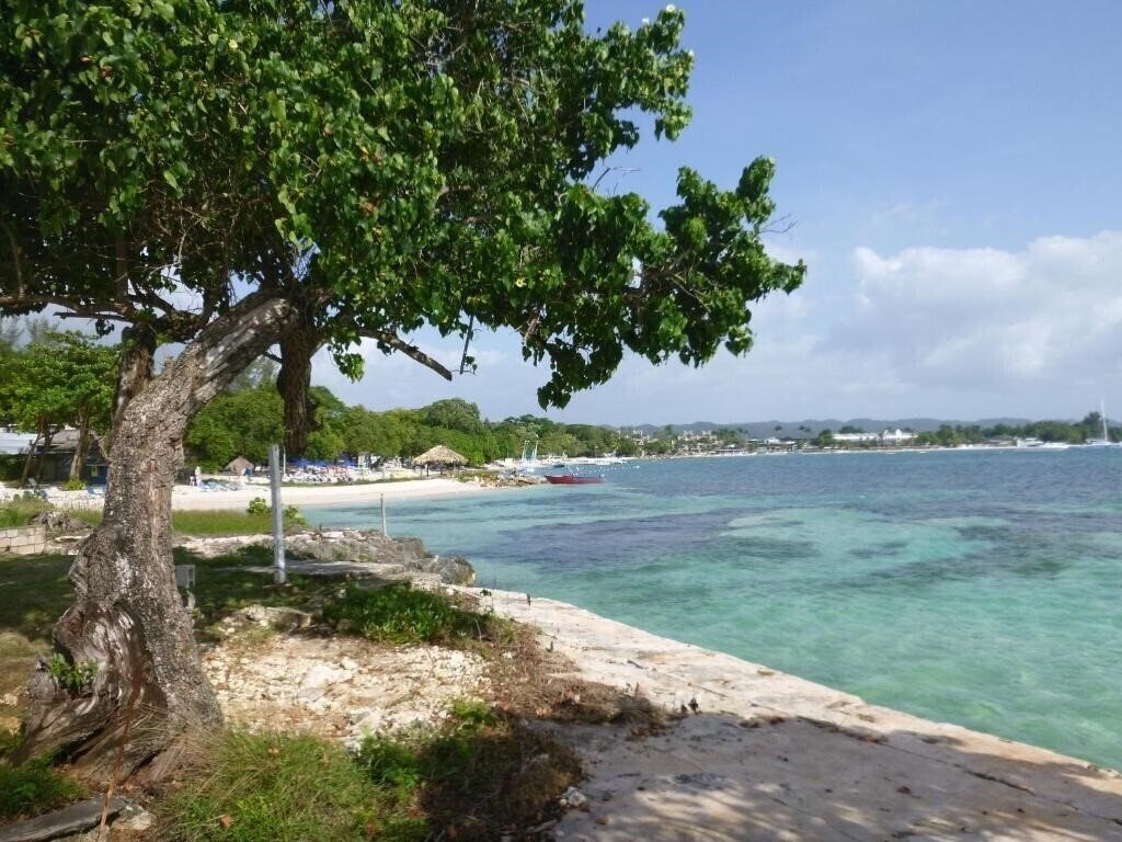 Картинка Point 3*