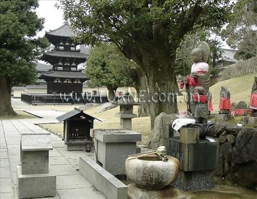 Фотографія Nikko Nara 3*