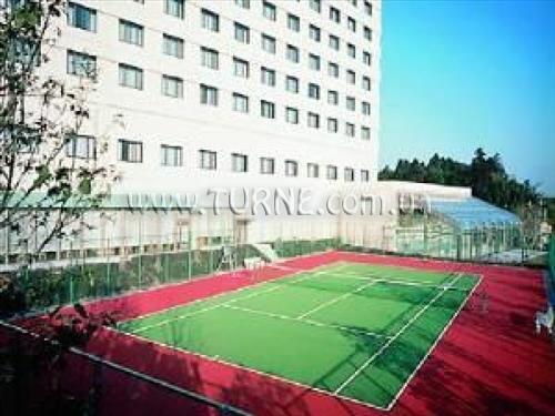 Отель Narita Excel Hotel Tokyu 4*