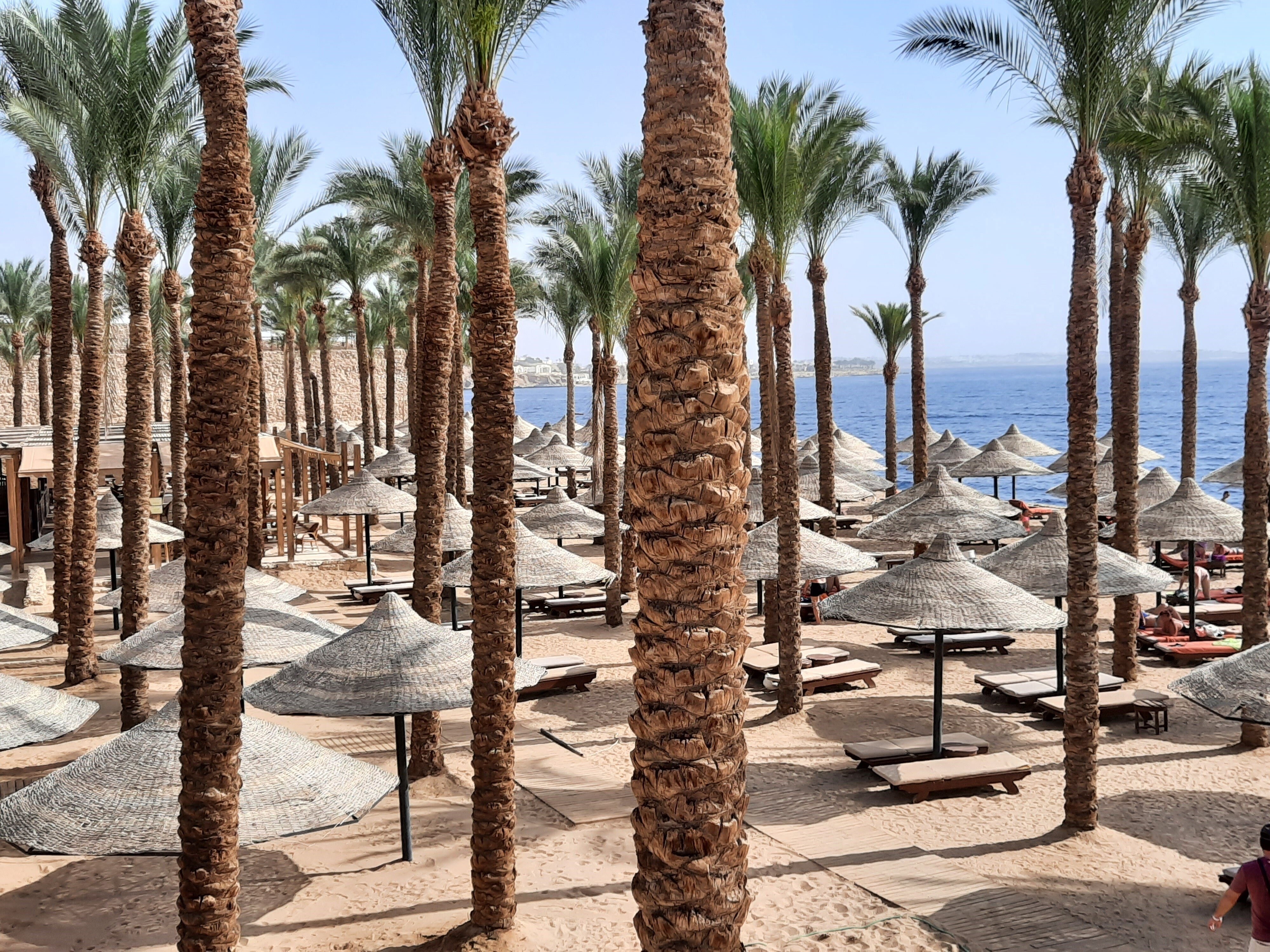 Grand Hotel Sharm Шарм-Эль-Шейх