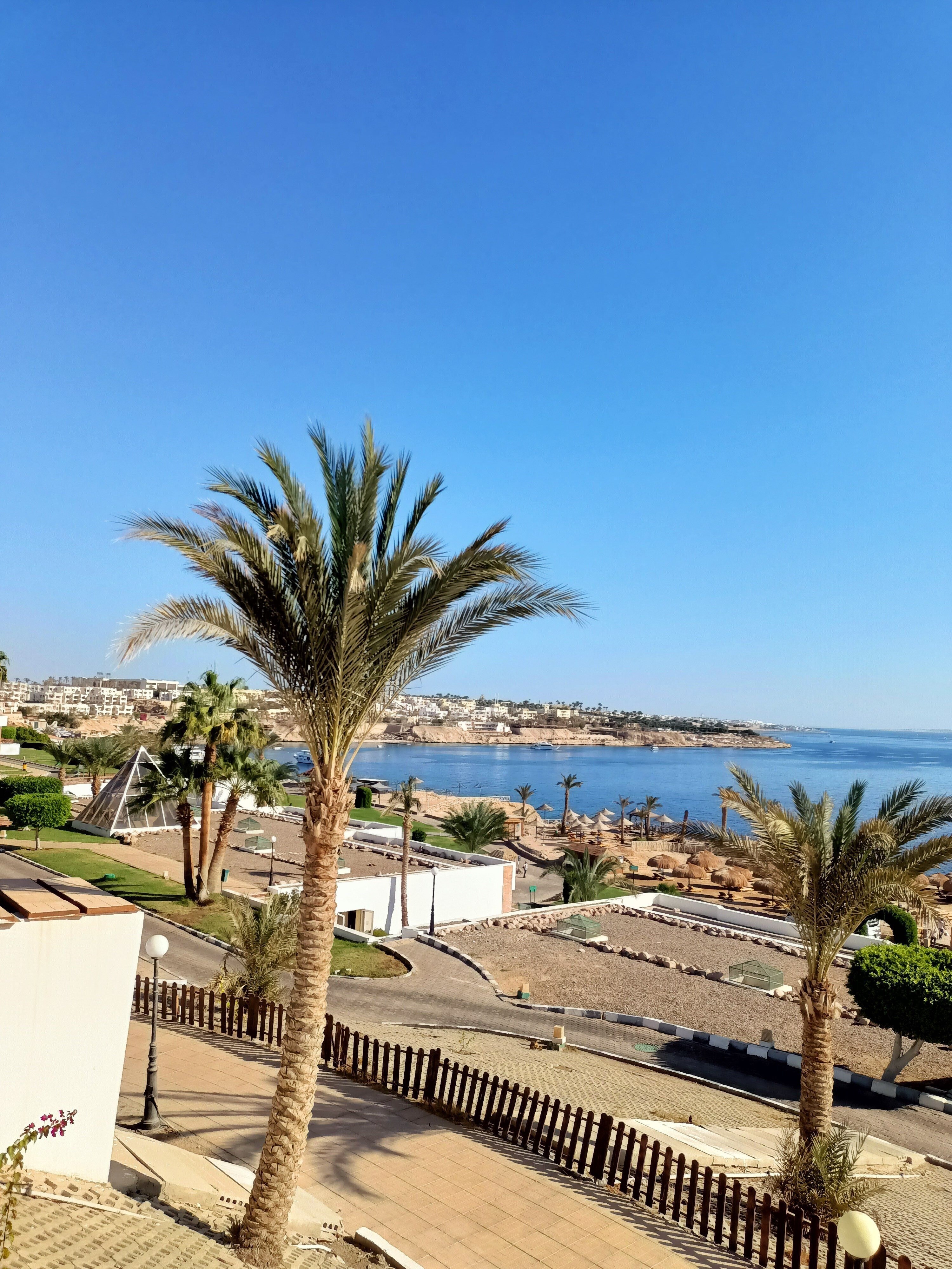 Отель Pyramisa Sharm El Sheikh Resort (ex. Dessole Pyramisa Sharm El Sheikh  Resort) (Шарм-эль-Шейх, Египет) 5* — туры в отель Pyramisa Sharm El Sheikh  Resort (ex. Dessole Pyramisa Sharm El Sheikh Resort):