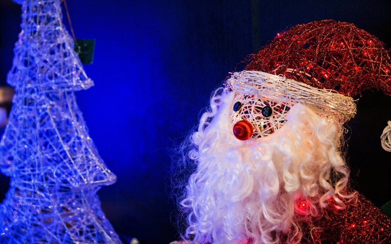 Фотография