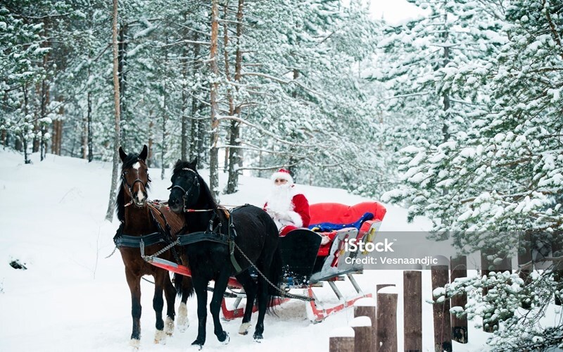 Фотографія