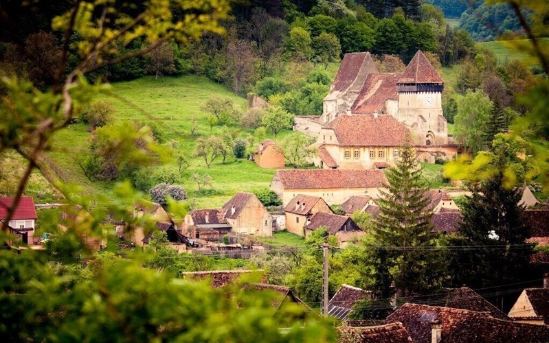 Фотографія  