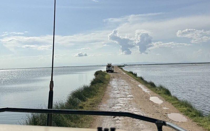 Фотографія