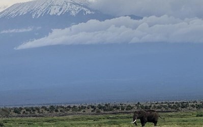 Пошук турів