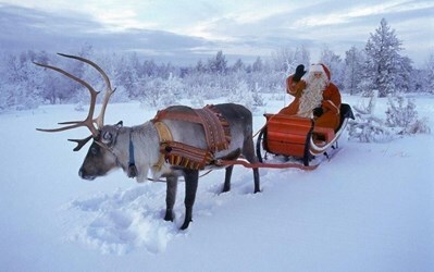 Туры Таллинн