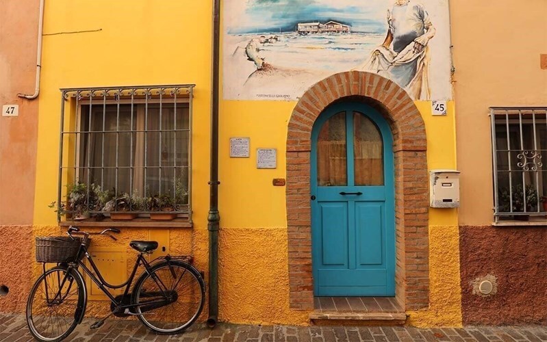 Фотография  